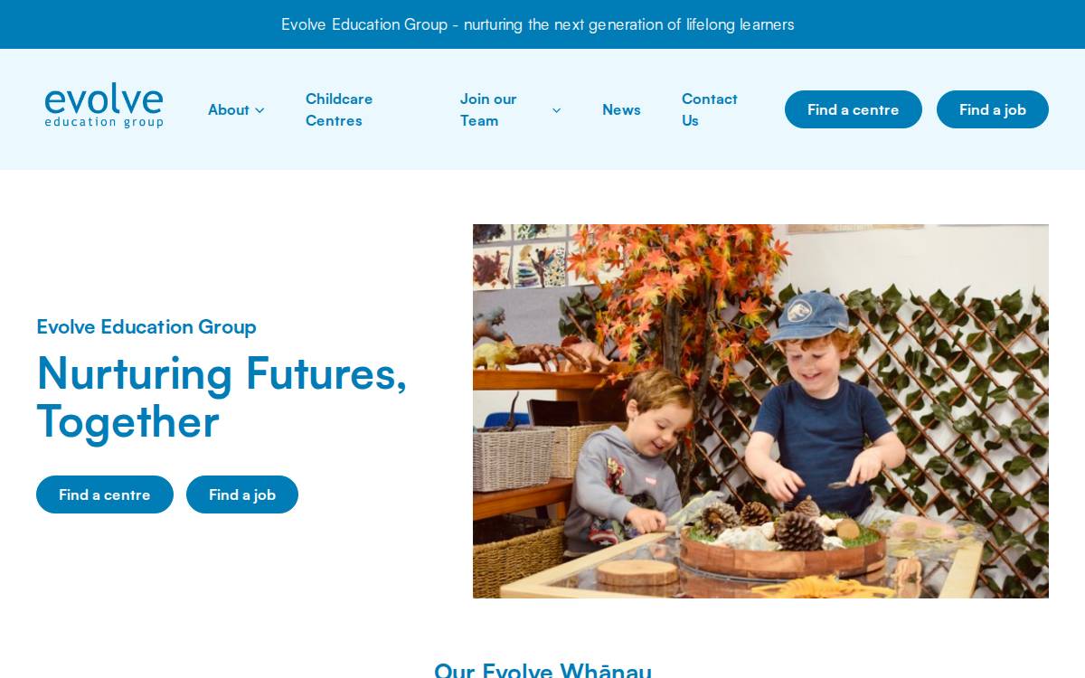 Evolve Education Group website preview