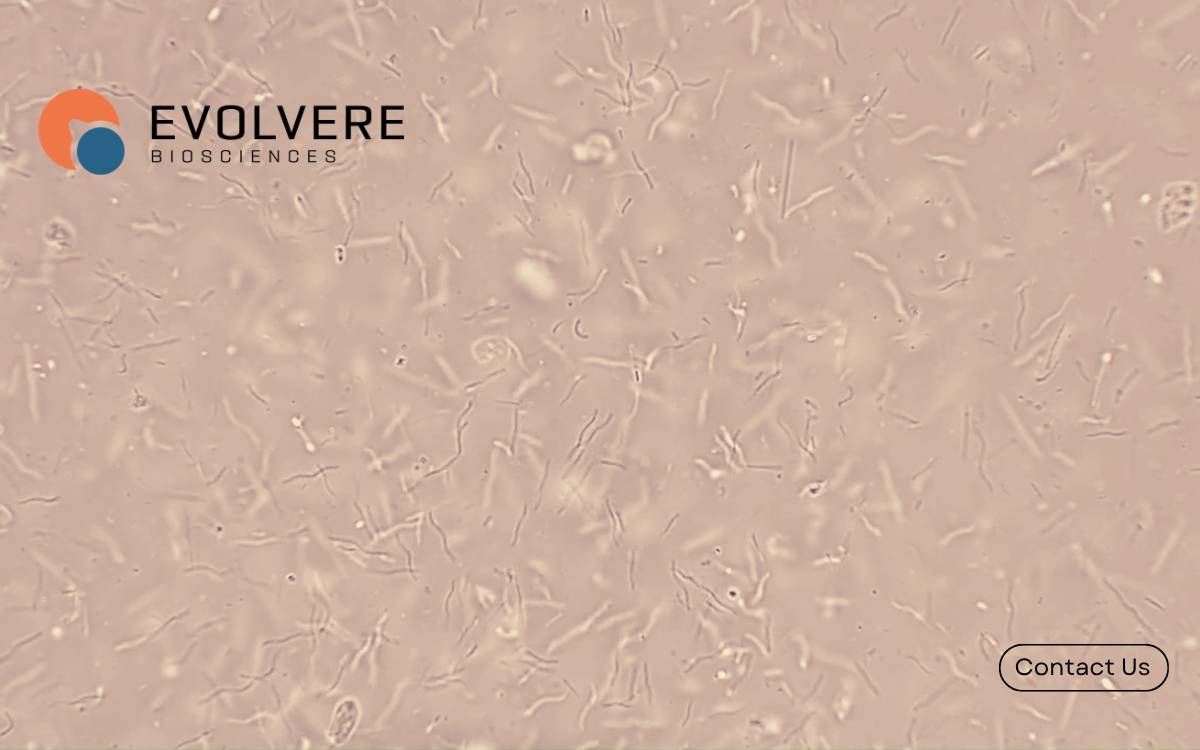 Evolvere BioSciences website preview
