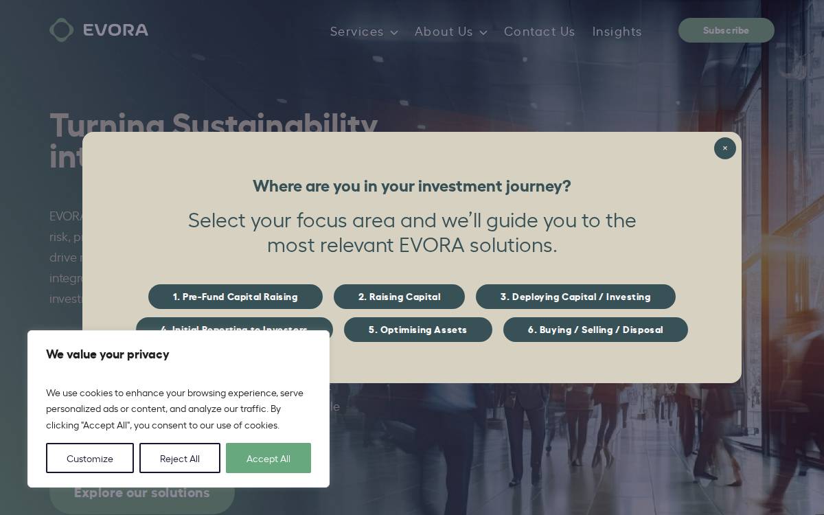Evoraglobal website preview