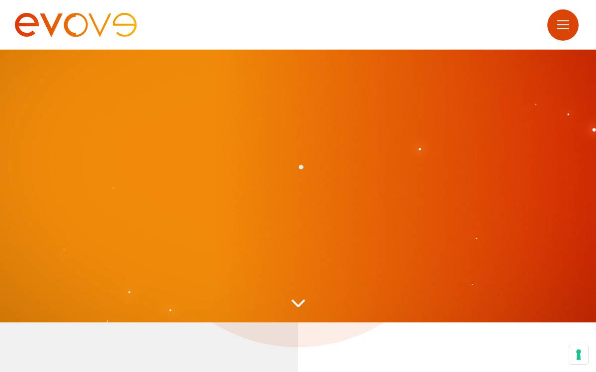Evove website preview