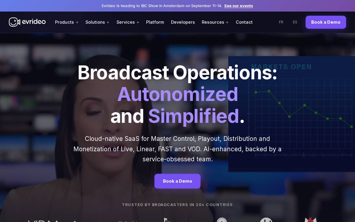 Evrideo website preview