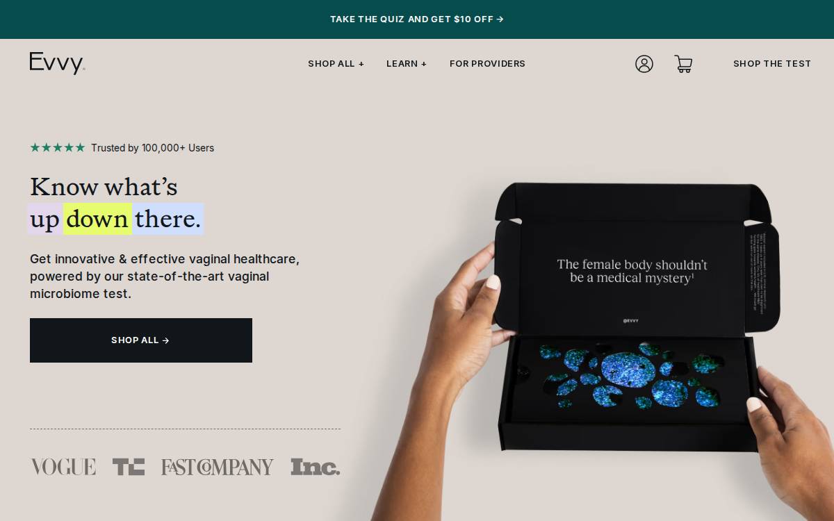 Evvy website preview