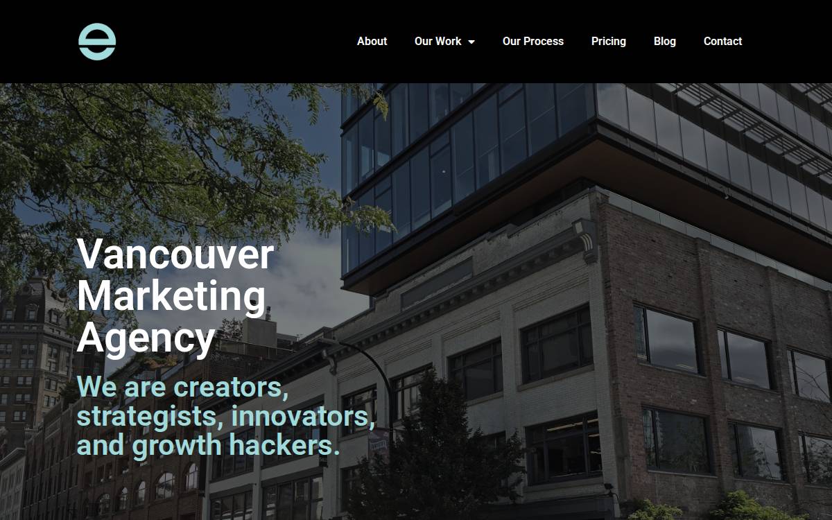 Ewanity Marketing website preview
