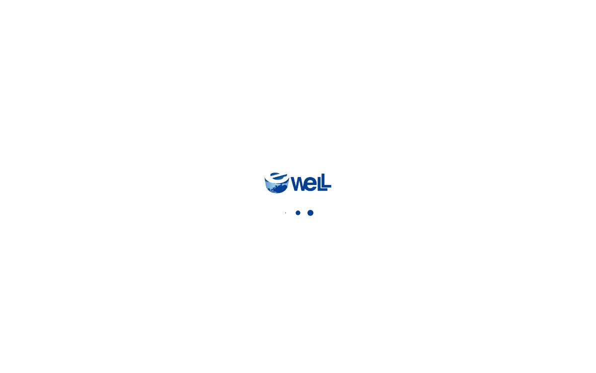 株式会社eWeLL website preview