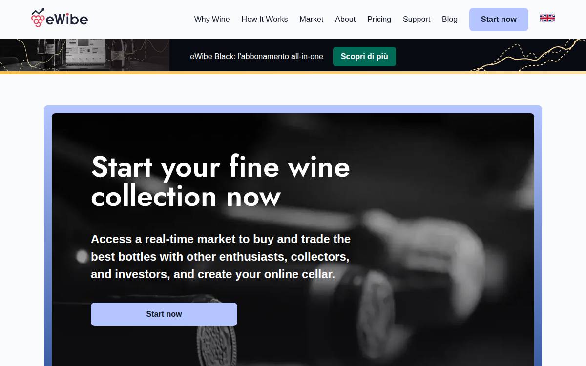 eWibe website preview