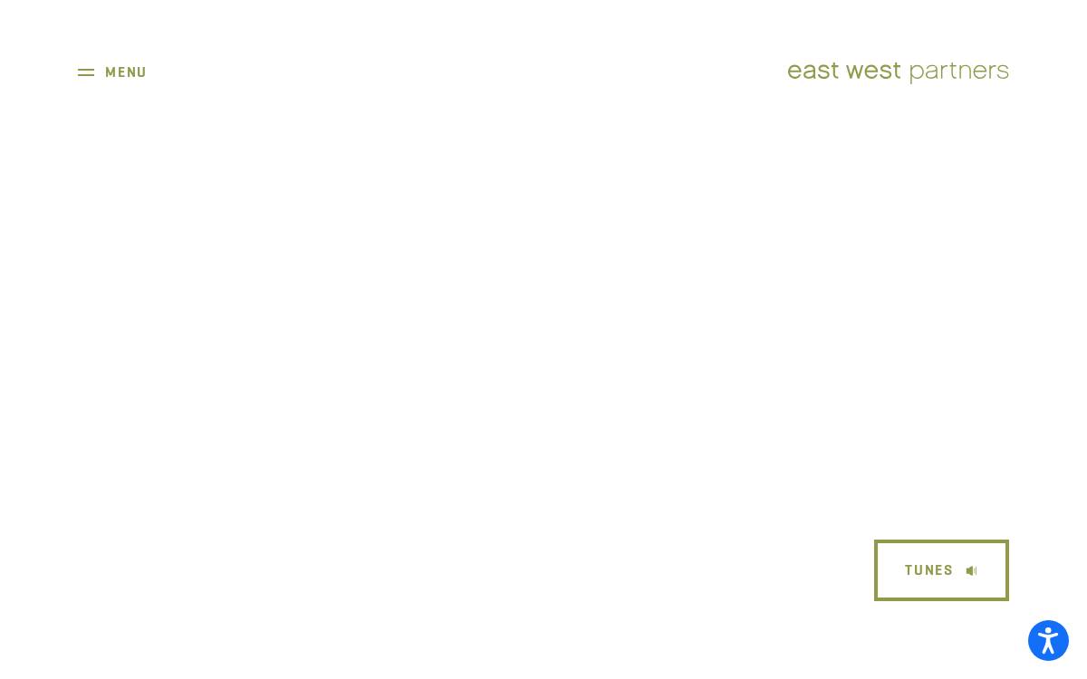 Ewpartners website preview