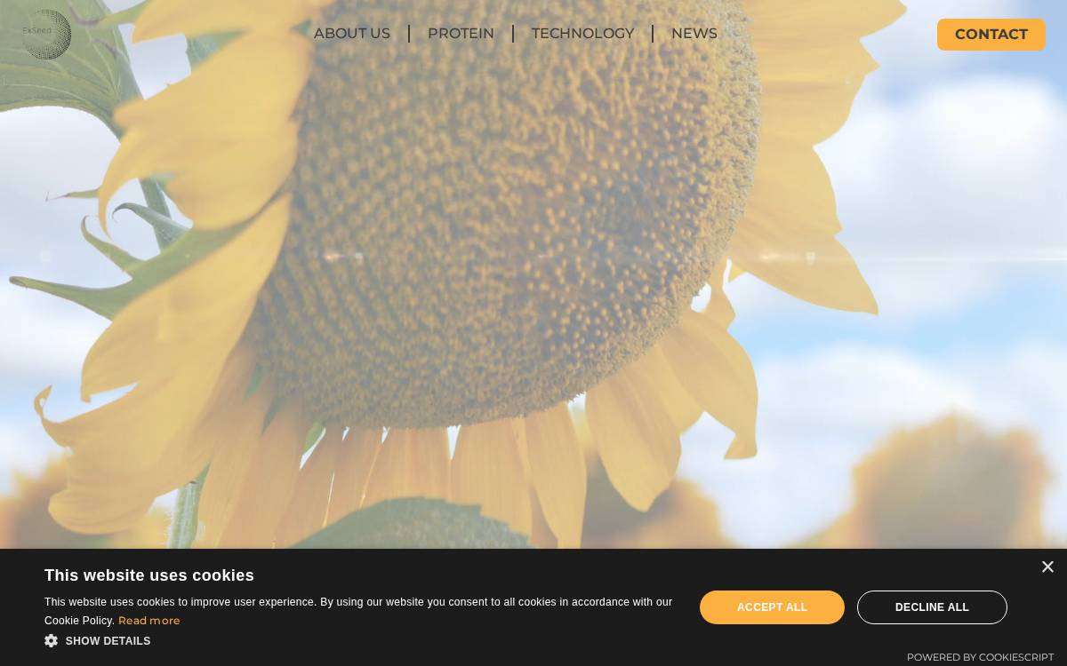 Ex Seed website preview