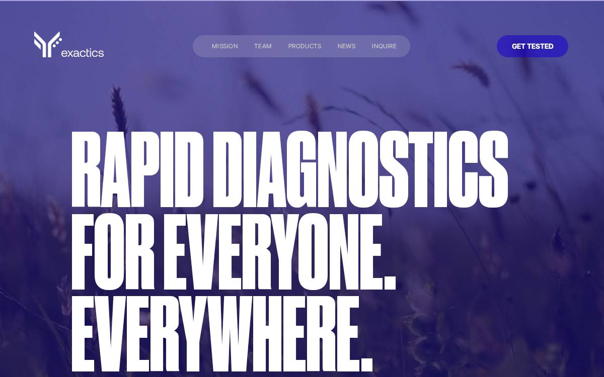 Exactics website preview