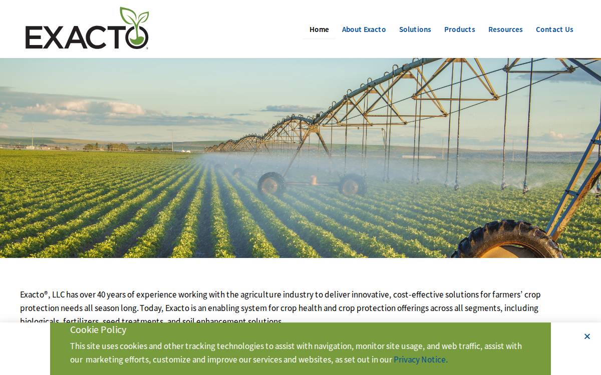 Exacto website preview