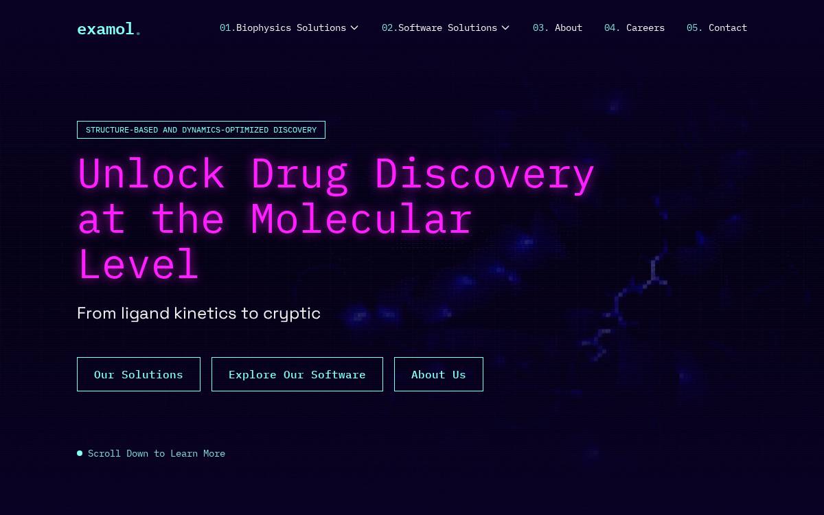 Examol website preview