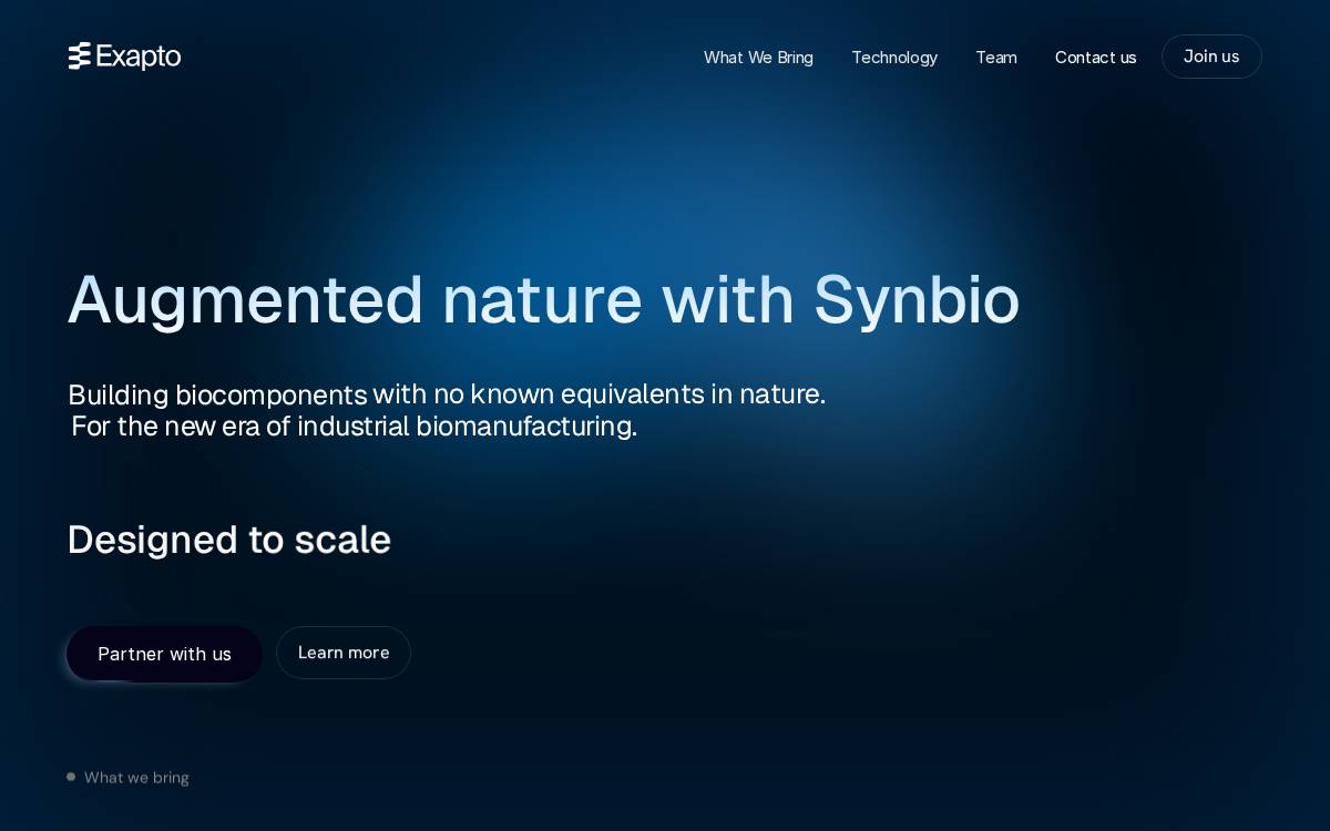Exapto website preview