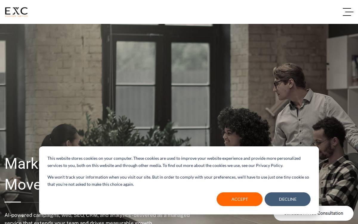Exc website preview