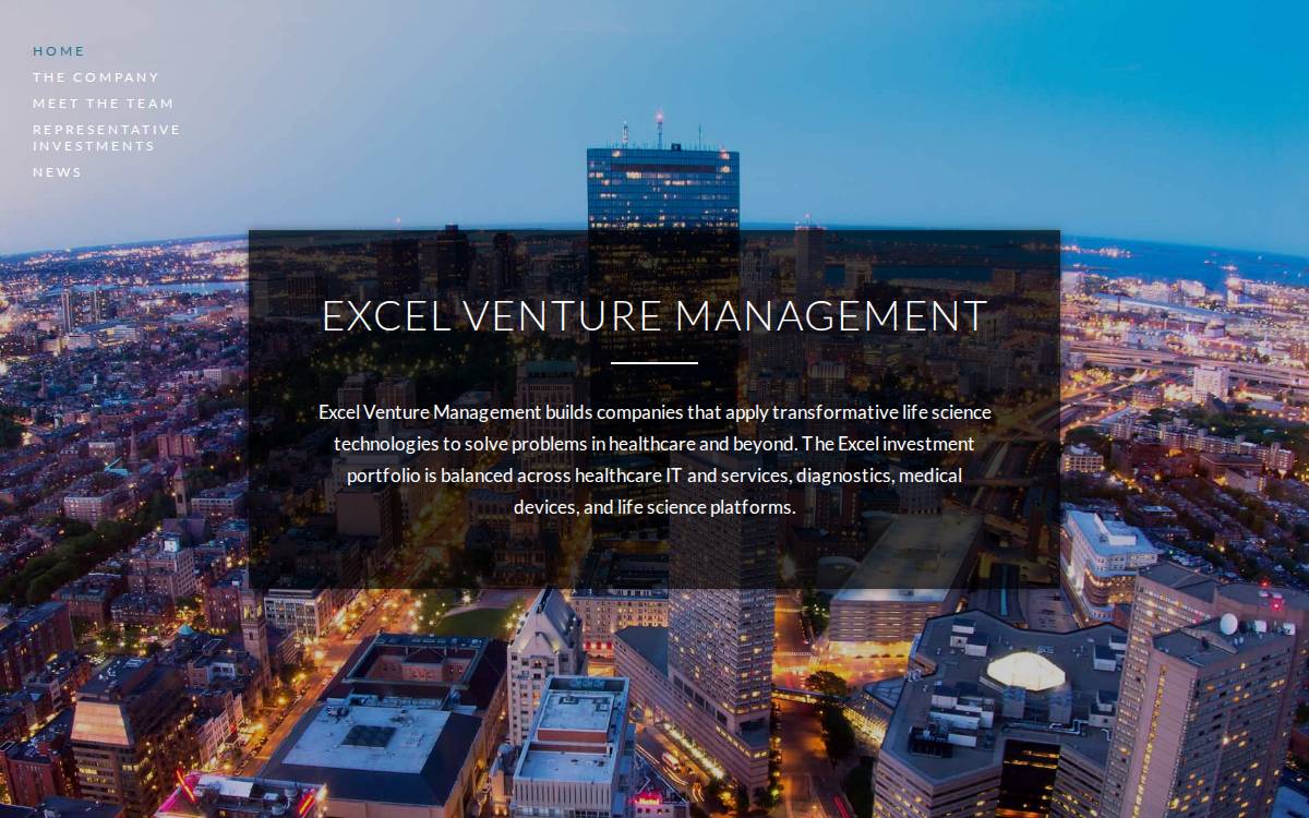 Excelvm website preview