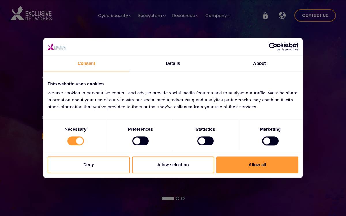 EXCLUSIVE NETWORKS website preview