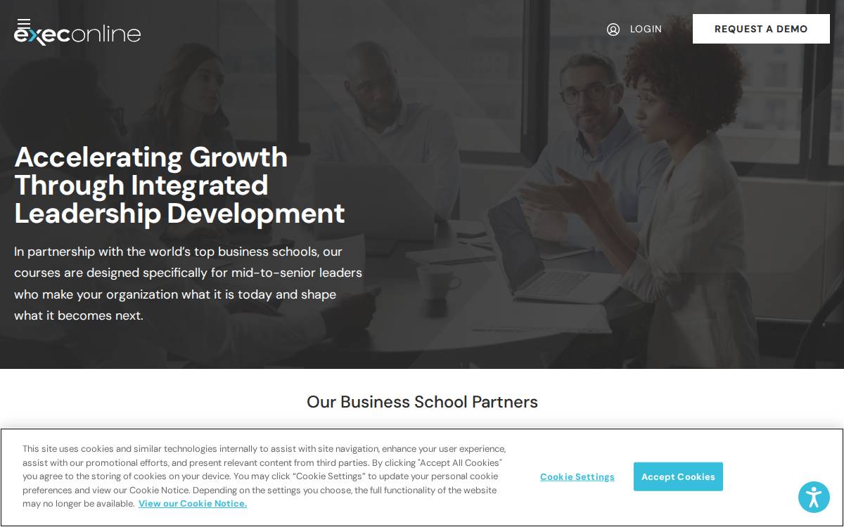 ExecOnline website preview