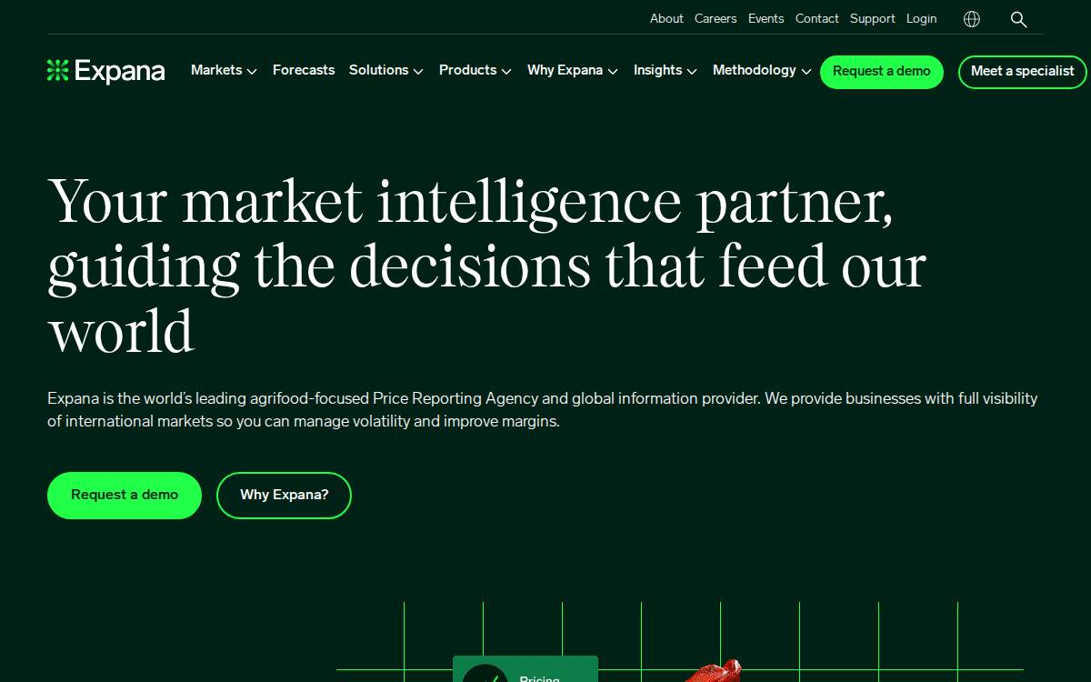 Expanamarkets website preview