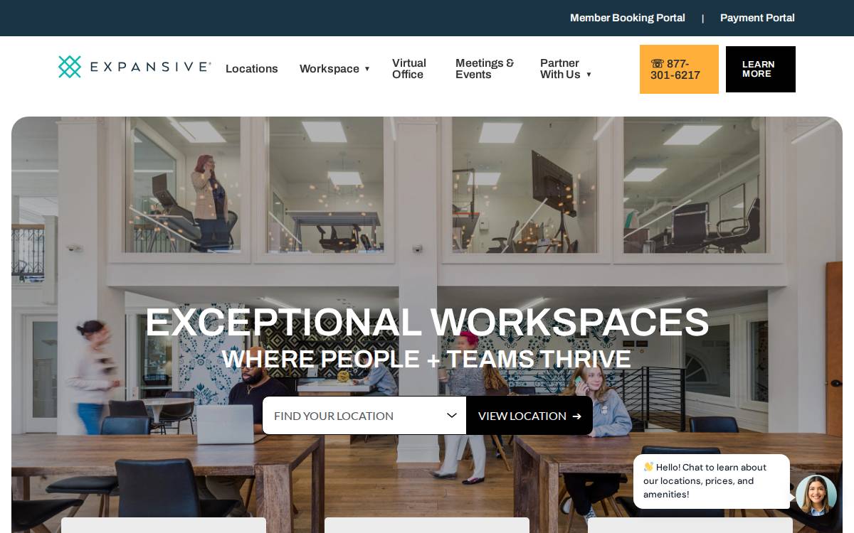 Expansive website preview
