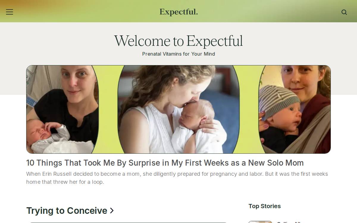 Expectful website preview