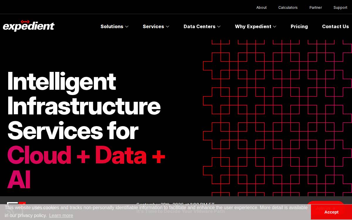 Expedient website preview