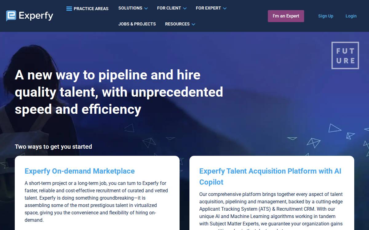 Experfy website preview
