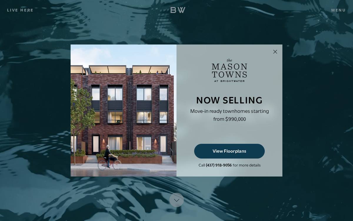 Experiencebrightwater website preview