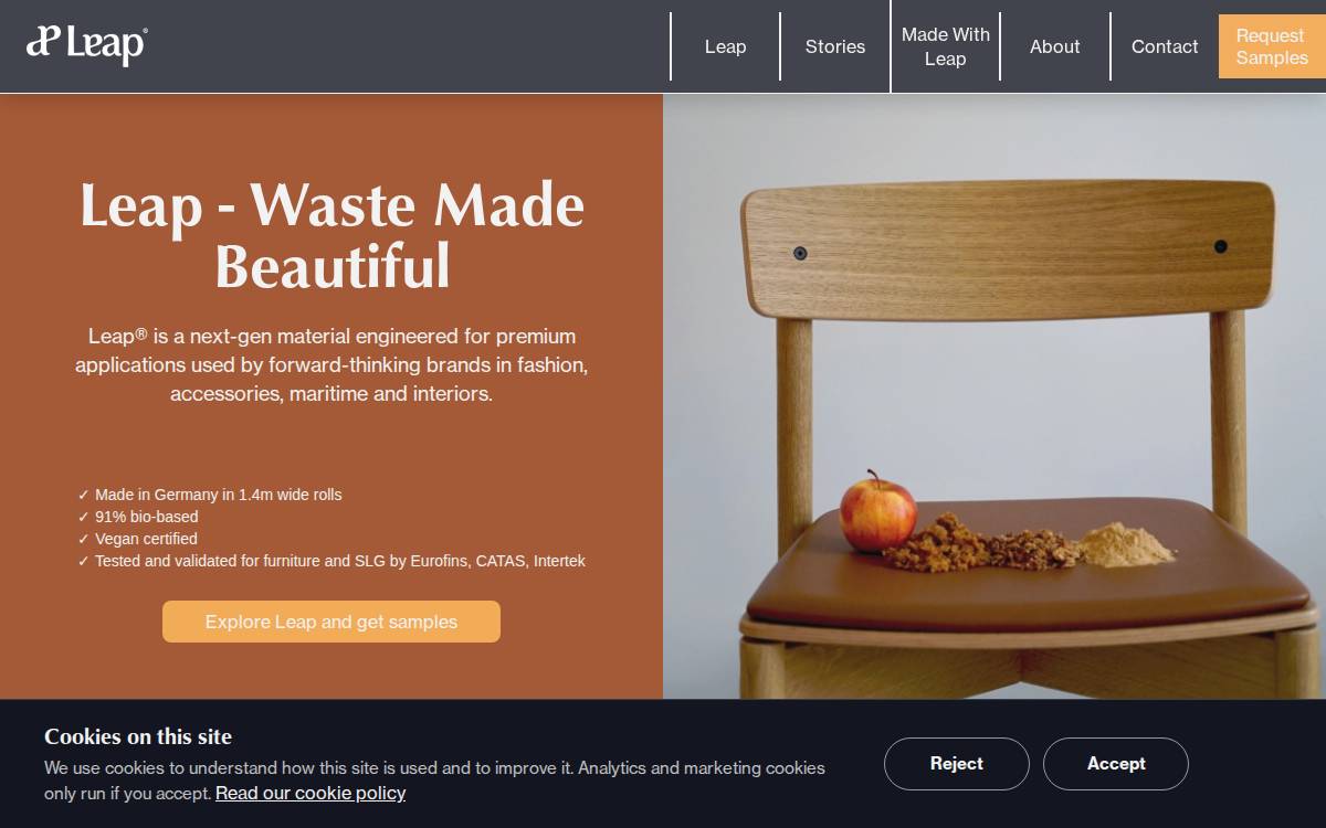 Explore Leap website preview
