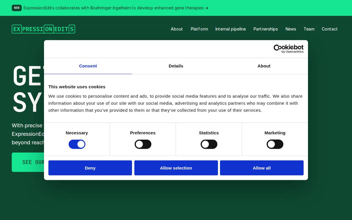 ExpressionEdits website preview