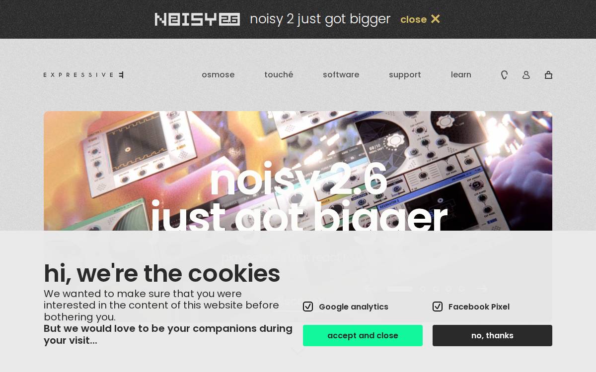 Expressive E website preview