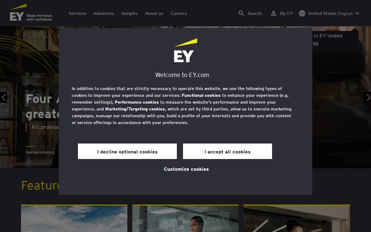 Ey website preview