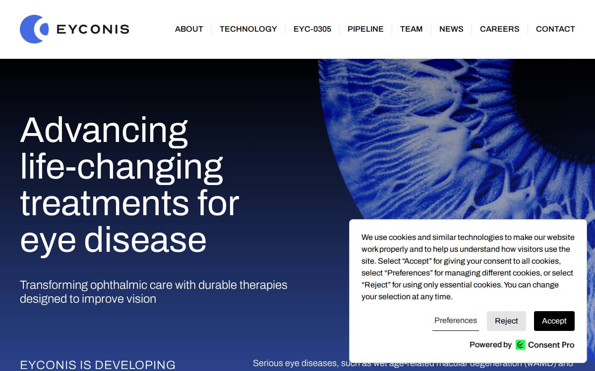 Eyconis website preview