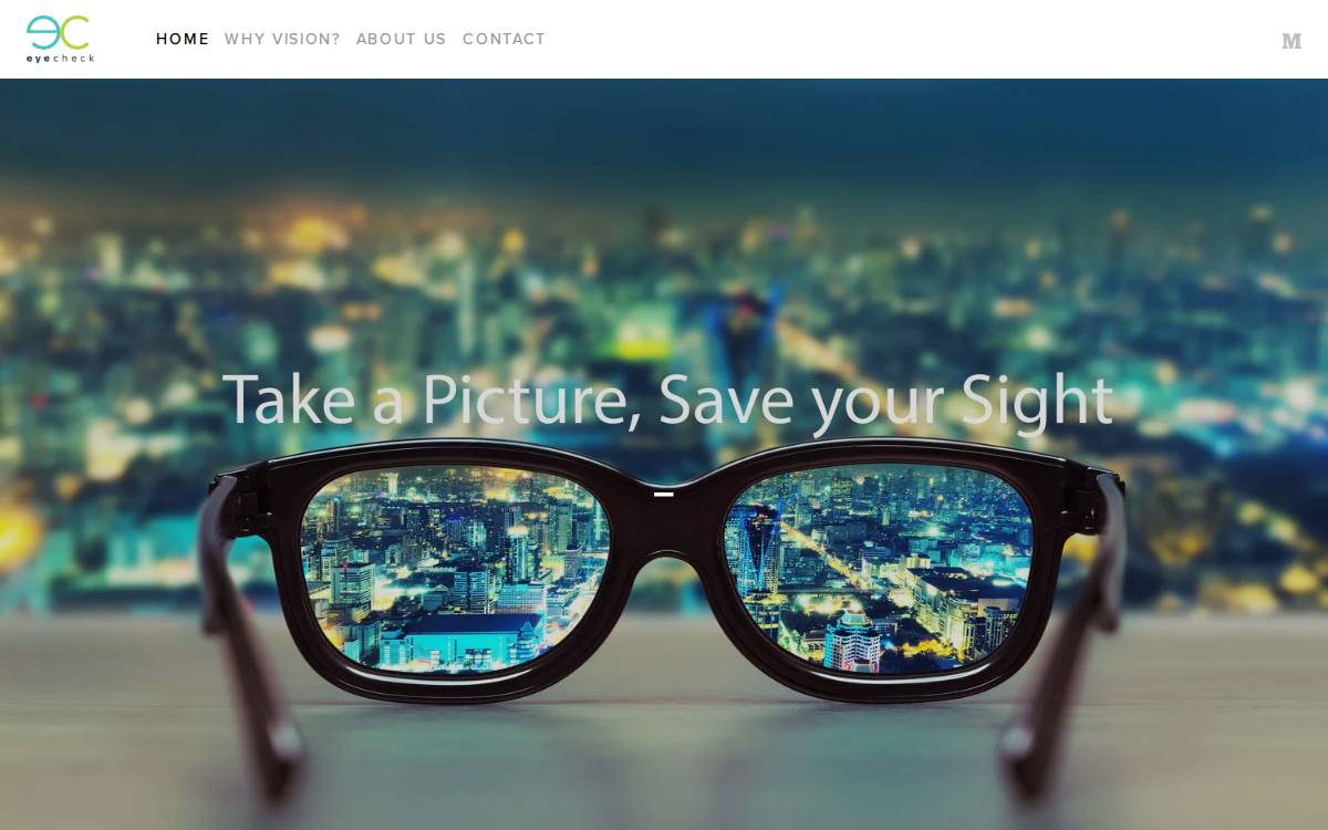 Eyecheck Solutions Inc. Website website preview