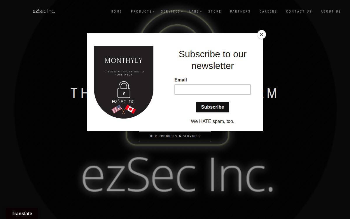 EzSec website preview