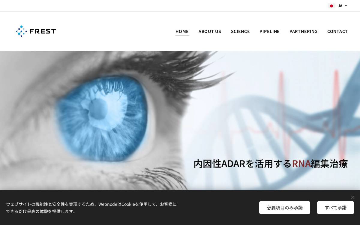 F Rest website preview