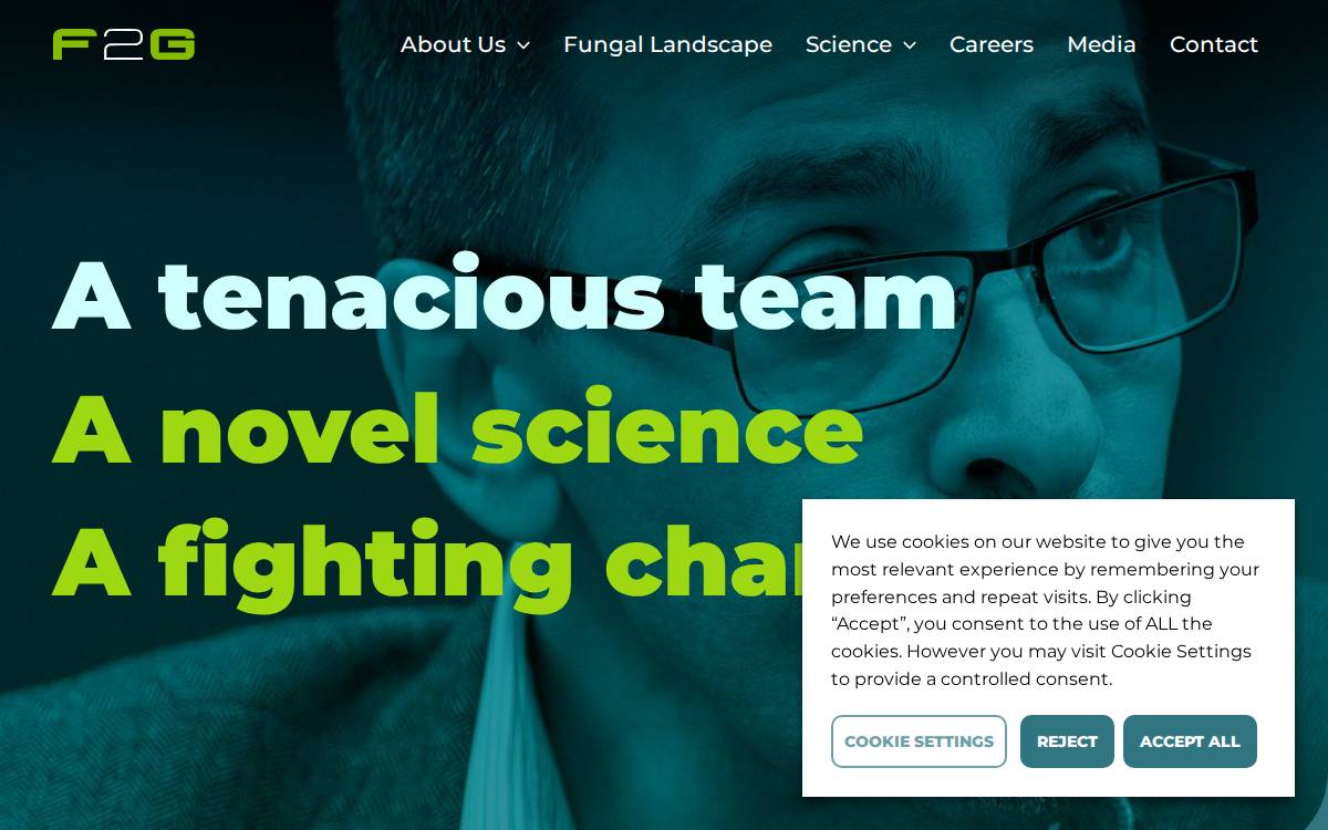 F2G website preview