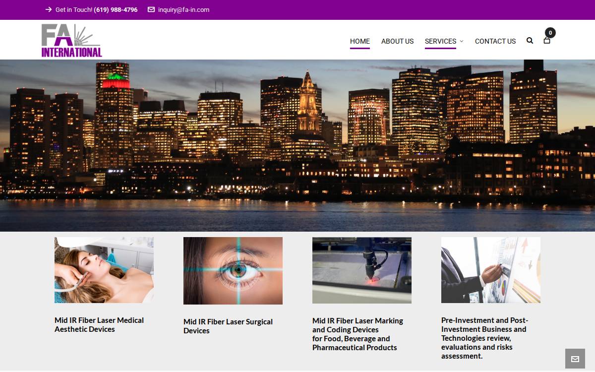 Fa In website preview