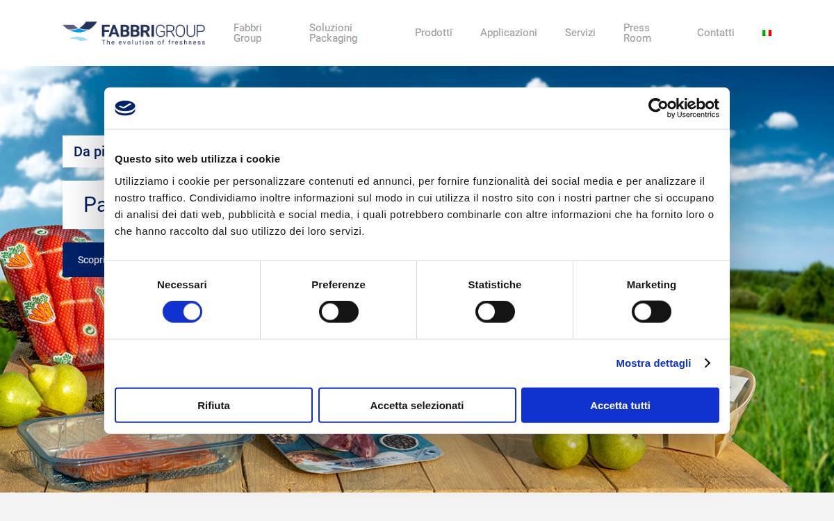 Fabbri Group website preview