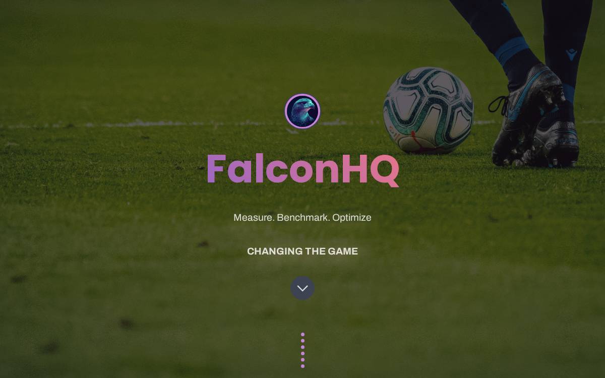 FalconHQ website preview