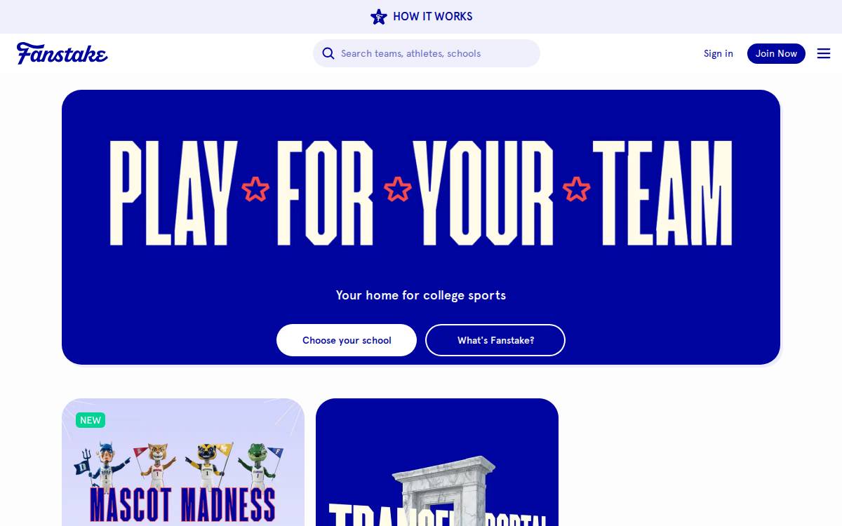 Fanstake website preview