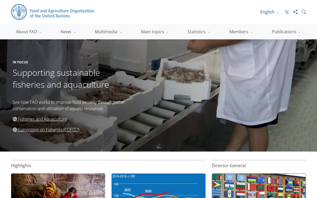Fao website preview