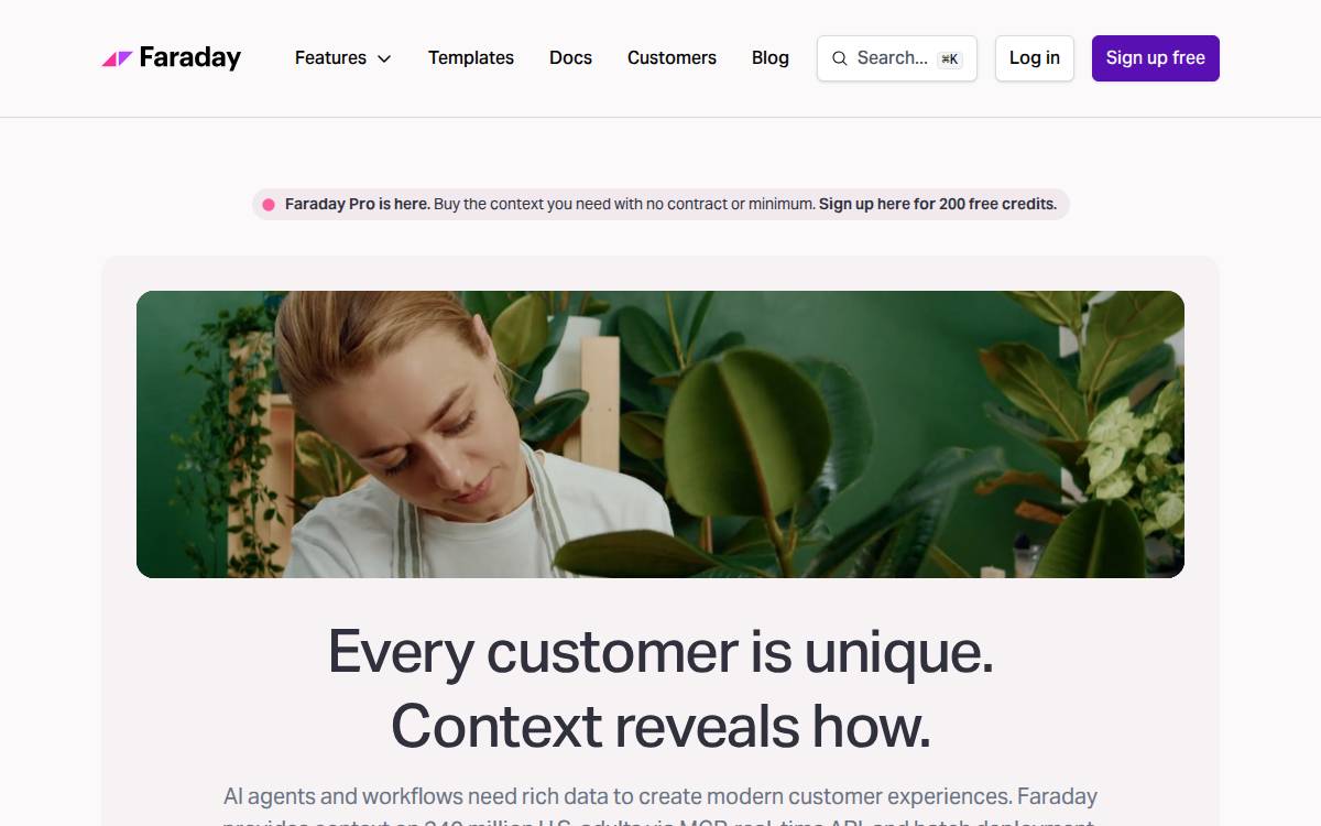 Faraday website preview