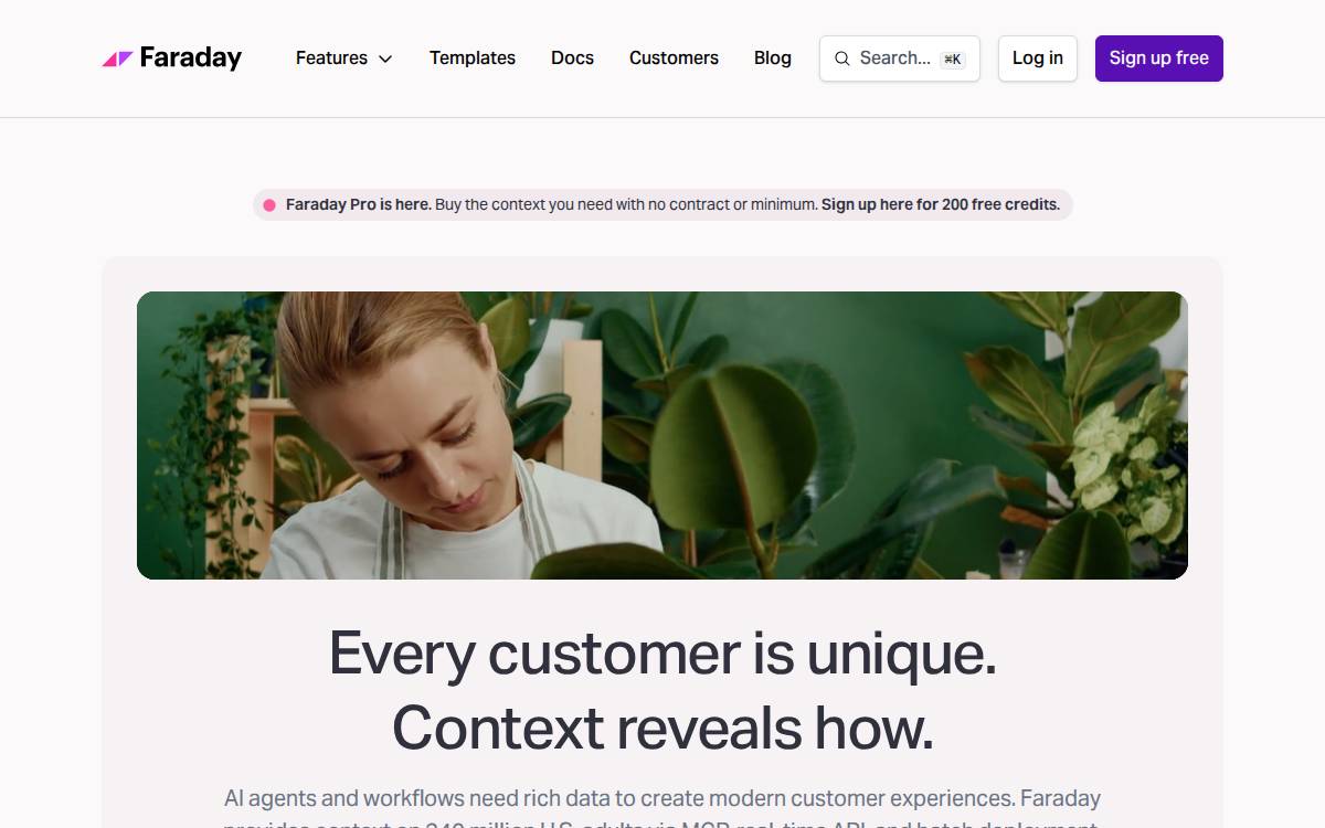 Faraday website preview