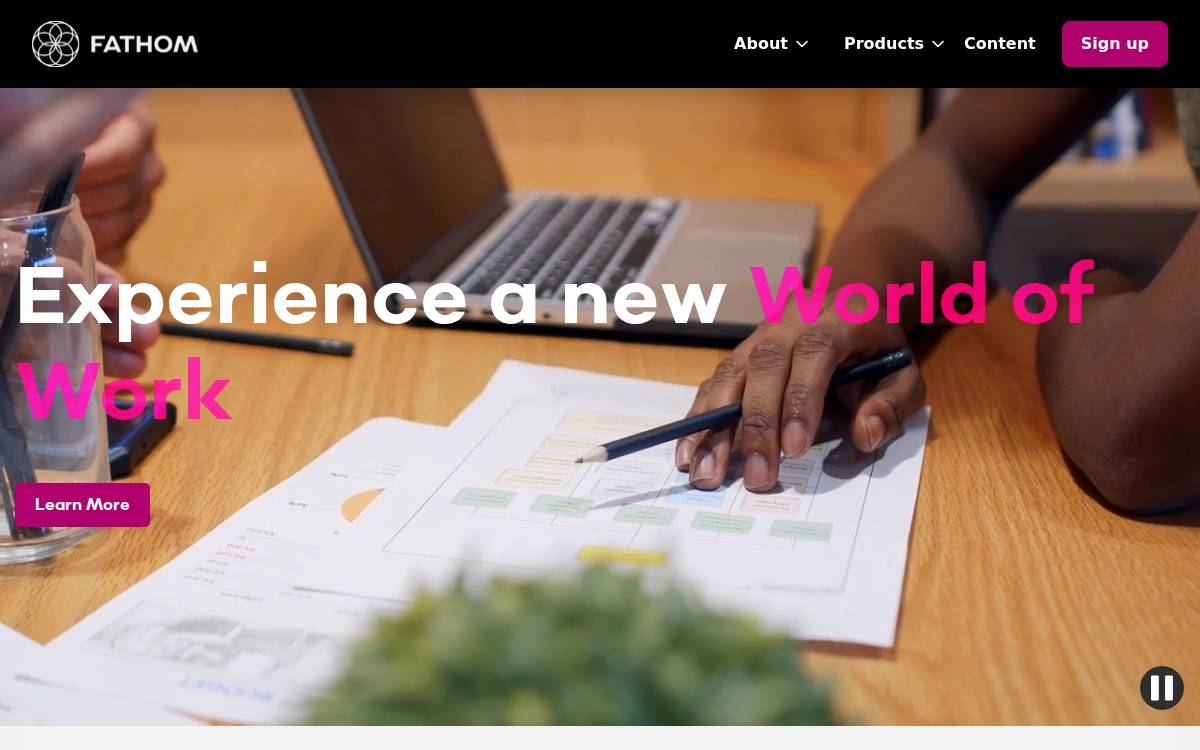 Fathom website preview