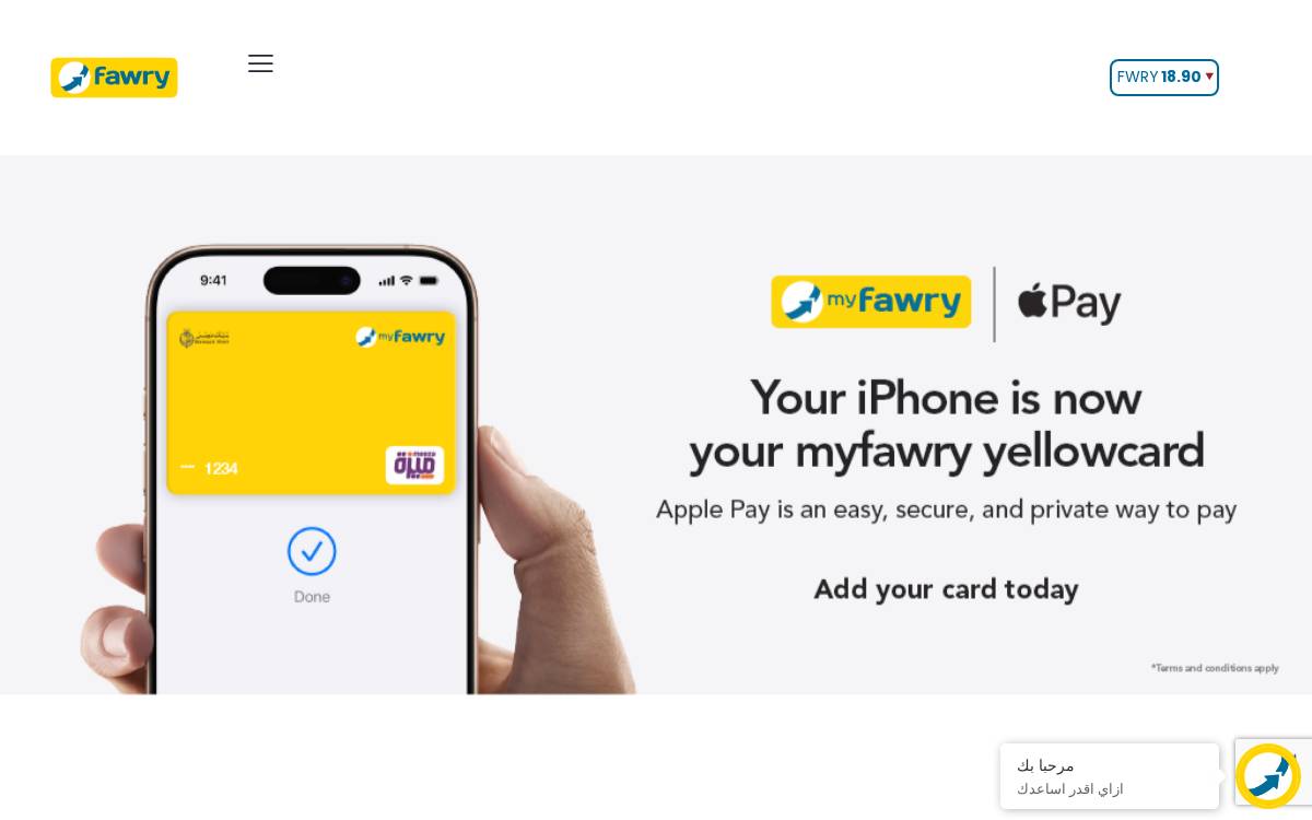 Fawry website preview