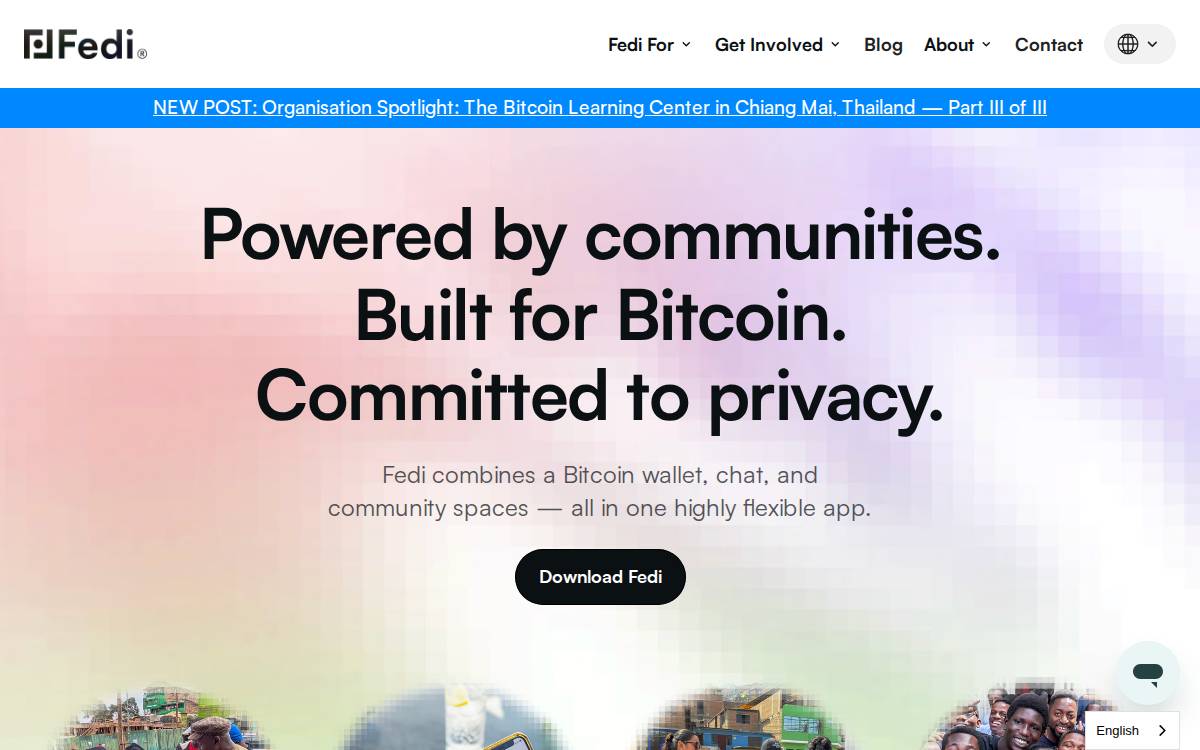 Fedi website preview