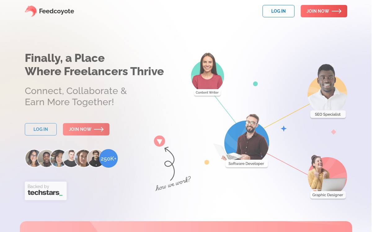 Feedcoyote website preview