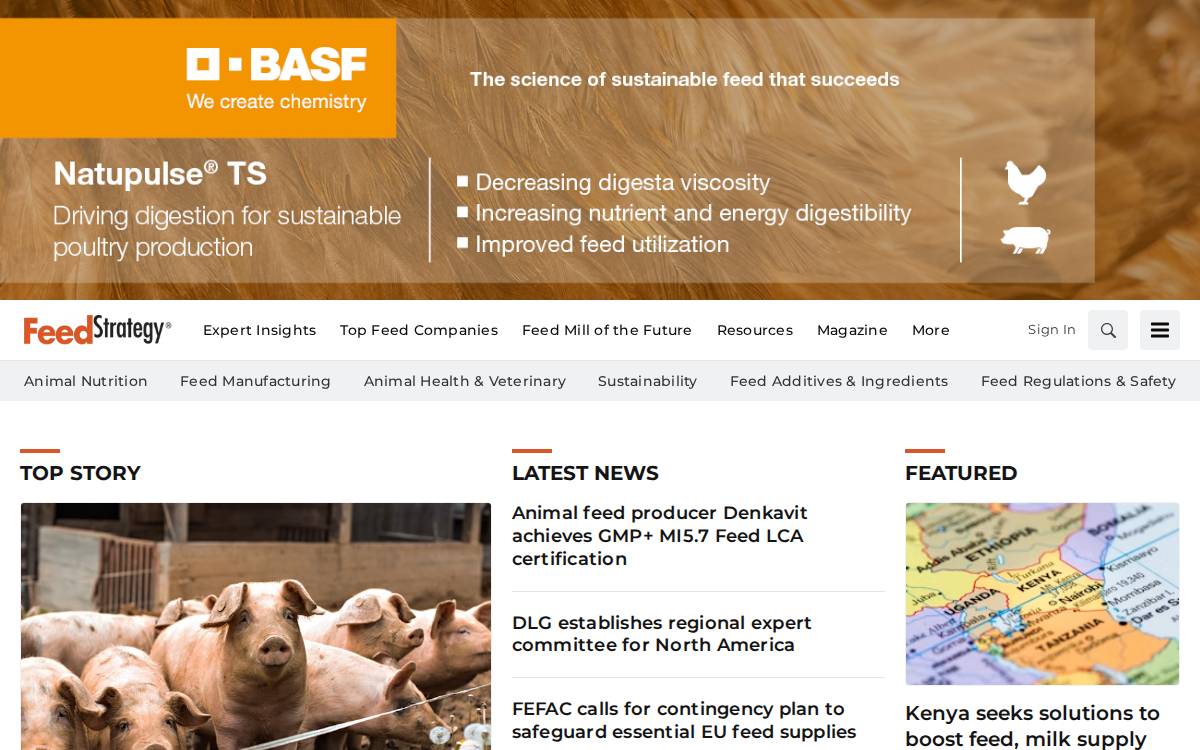 Feedstrategy website preview