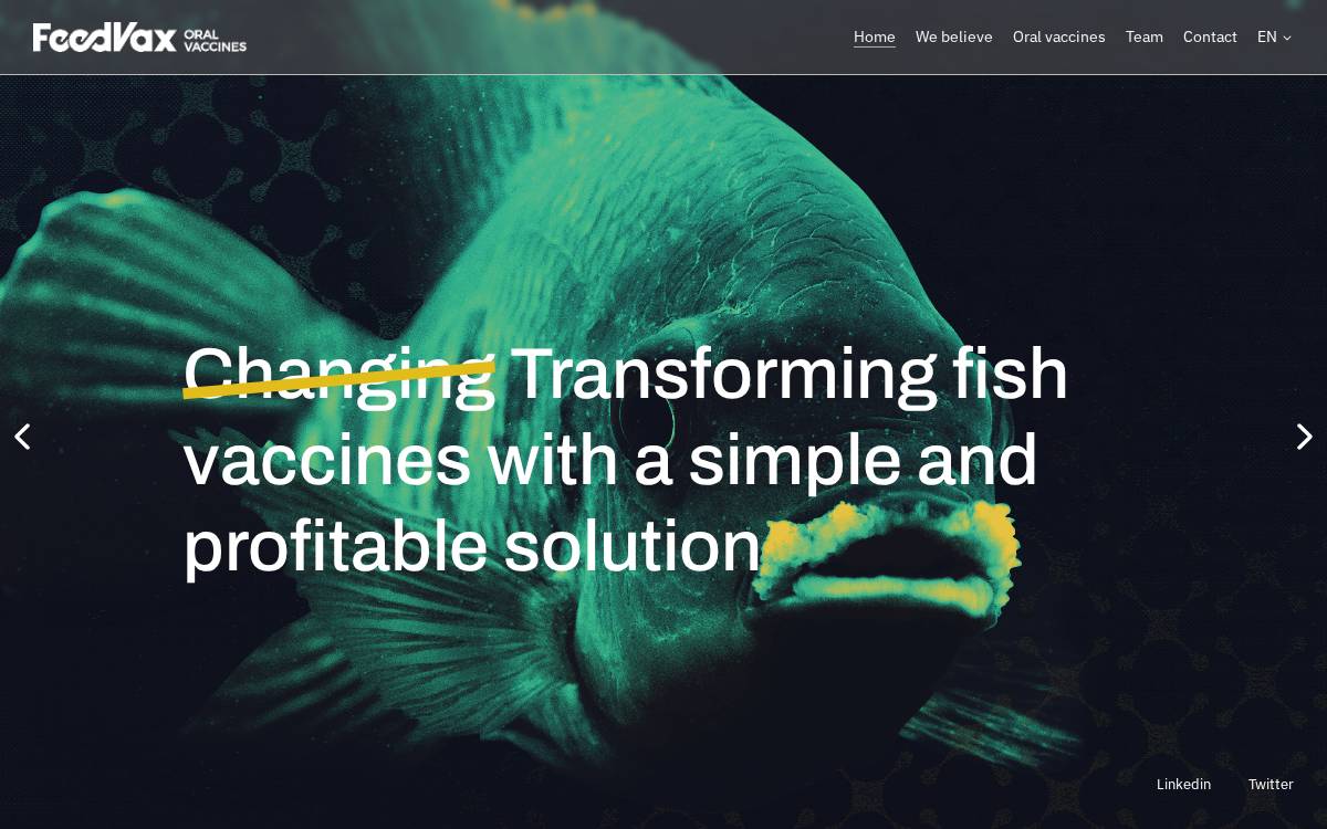 Feed Vax website preview