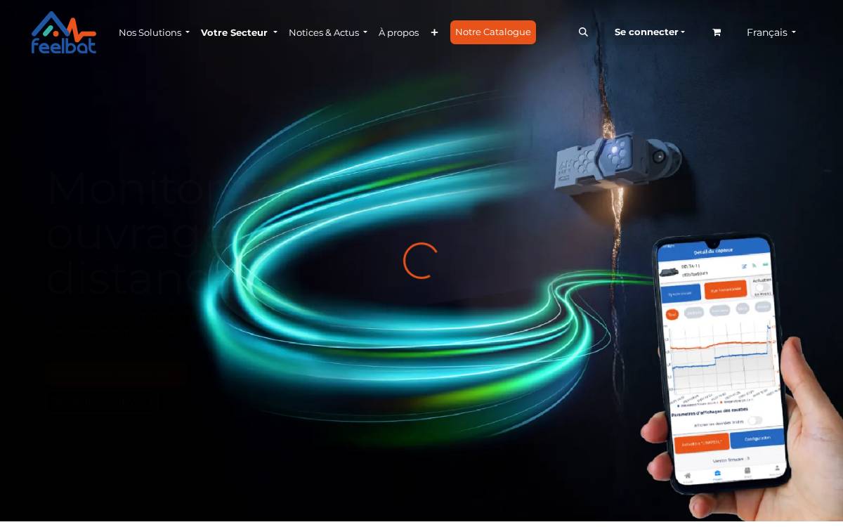 Feelbat website preview