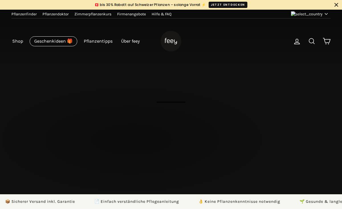 Feey website preview