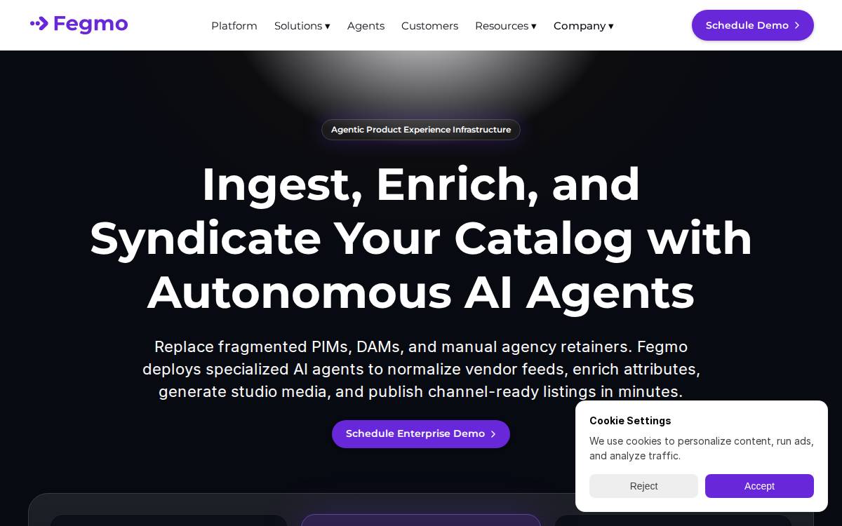 Fegmo website preview